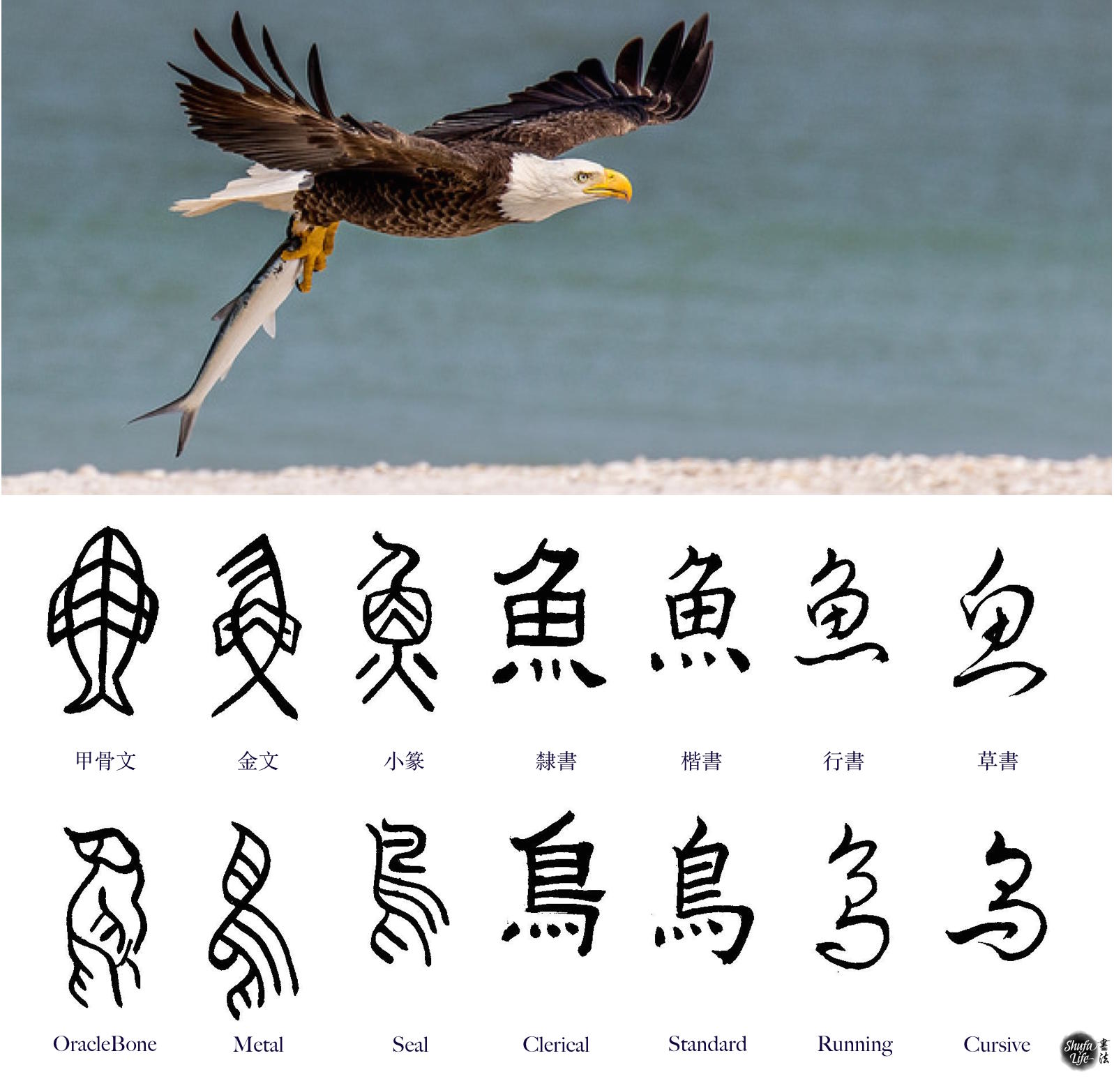 chinese calligraphy font