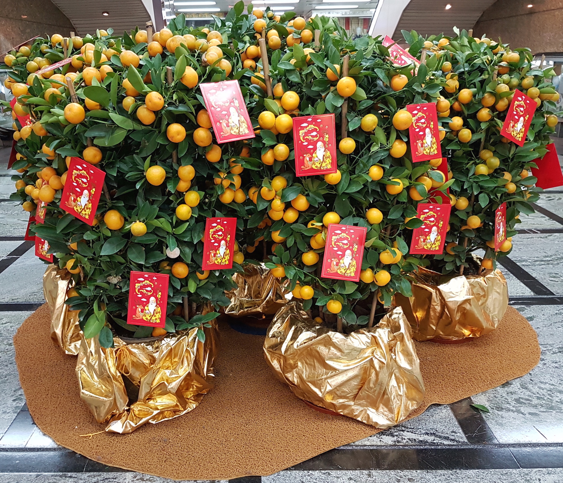 chinese new year oranges